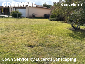 Lawn Mowing Service nearby Albuquerque, NM, 