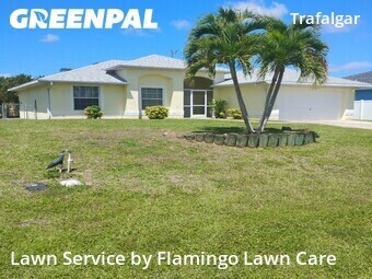 Grass Cutting nearby Cape Coral, FL, 