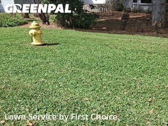 Lawn Cut nearby St. Augustine, FL, 