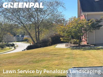 Grass Cut nearby Lawrenceville, GA, 