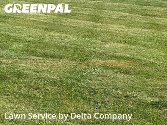 Lawn Mowing Service nearby Bowling Green, KY, 