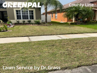 Lawn Cut nearby Tampa, FL, 