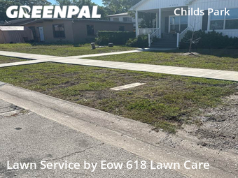 Grass Cut nearby St. Petersburg, FL, 