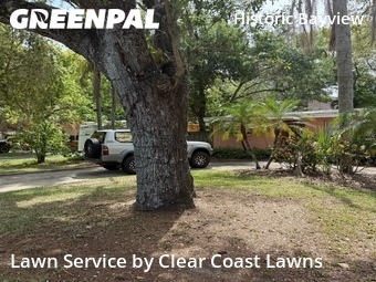 Lawn Cut nearby Clearwater, FL, 