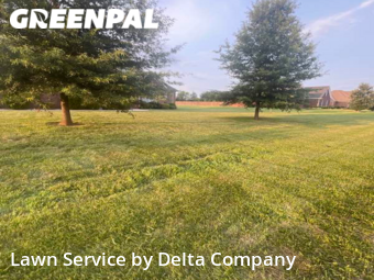 Lawn Cut nearby Bowling Green, KY, 