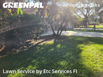 Lawn Cut nearby Tampa, FL, 