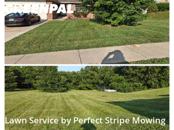 Lawn Mowing nearby Springfield, MO, 