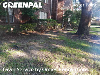 Lawn Cut nearby Sugar Land, TX, 