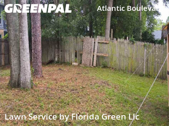 Grass Cut nearby Jacksonville, FL, 