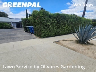 Lawn Maintenance nearby Los Angeles, CA, 