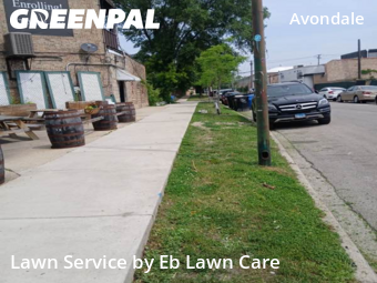 Lawn Care Service nearby Chicago, IL, 