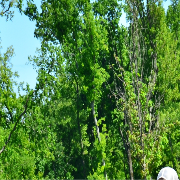 local-lawn-care-services-in-Blaine-MN