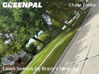 Yard Mowing in Novi, 48375, Yard Care by Brazy's Mowing Llc, work completed in Nov , 2025