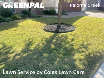 Lawn Maintenance nearby Little Elm, TX, 