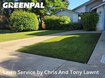 Grass Cut nearby Lodi, CA, 
