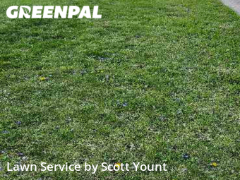 Lawn Maintenance nearby Freeport, IL, 