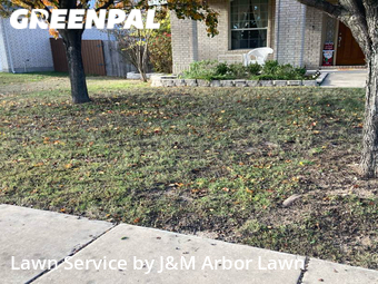 Lawn Mow nearby Leander, TX, 