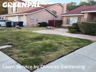 Landscaping Companies In Palmdale,93551,Landscape Design by Olivares Gardening , work completed in Dec , 2025