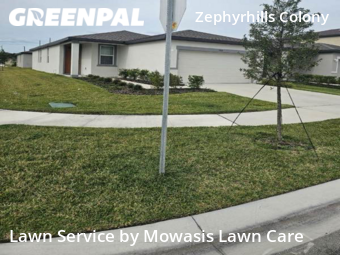 Yard Mowing nearby Wesley Chapel, FL, 