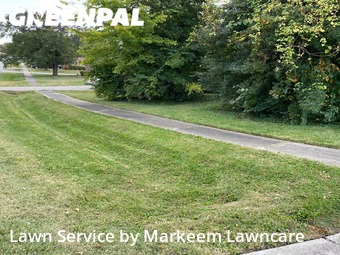Lawn Cut nearby Louisville, KY, 