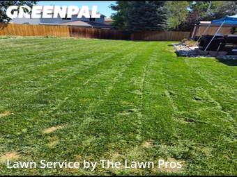 Lawn Cutting nearby Thornton, CO, 