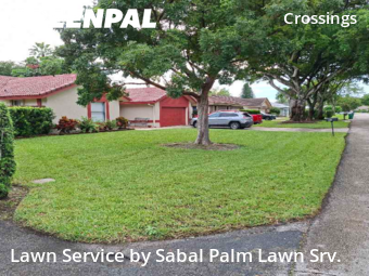 Grass Services in Coral Springs, 33065, Yard Services by Sabal Palm Lawn Srv., work completed in Nov , 2025