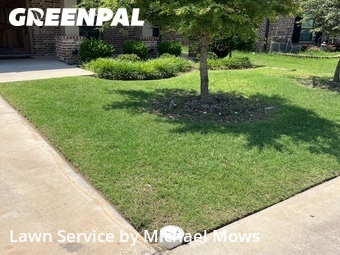 Lawn Mow nearby White Settlement, TX, 