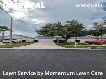 Lawn Cutting nearby Land O' Lakes, FL, 