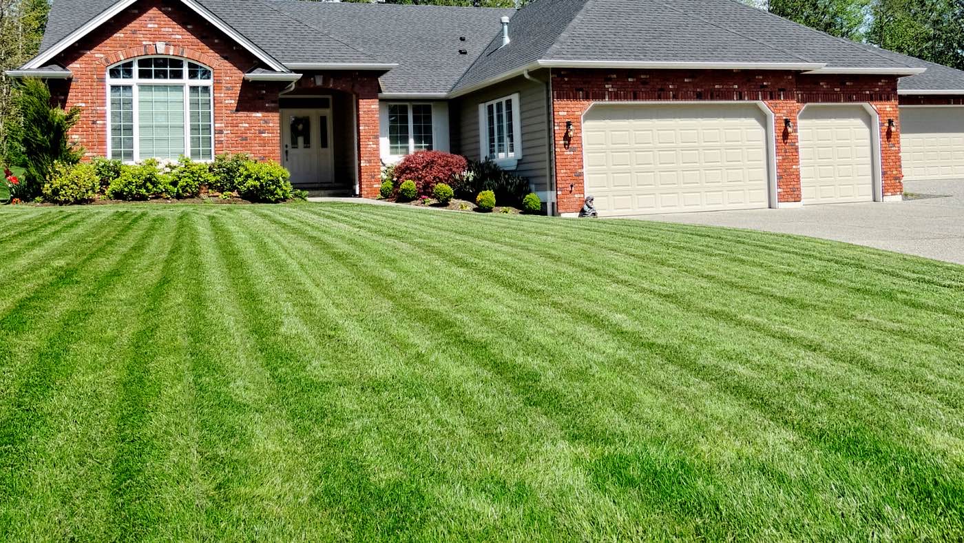 New Edge Lawn Care Lawn Care Services in Joplin, MO