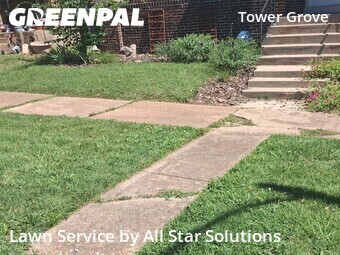 Lawn Care nearby St. Louis, IL, 