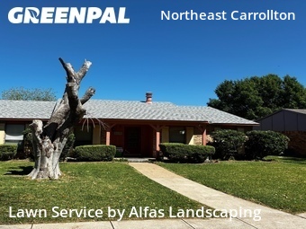 Lawn Cut nearby Carrollton, TX, 