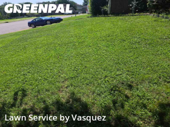 Lawn Mow nearby Mt. Juliet, TN, 