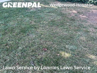 Yard Cutting nearby Nashville, TN, 