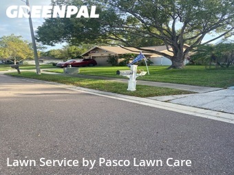 Grass Cutting nearby Palm Harbor, FL, 