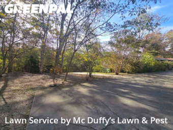 Lawn Cut nearby Newport, TN, 