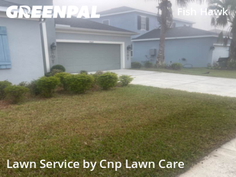 Lawn Mowing in Fish Hawk, 33547, Weed Trimming by Cnp Lawn Care, work completed in Dec , 2025