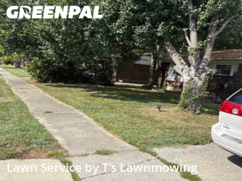 Grass Cut nearby Louisville, KY, 