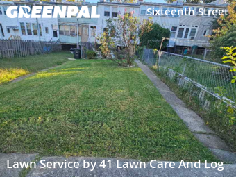 Lawn Management in Washington, 20011, Yard Grooming by 41 Lawn Care And Log, work completed in Oct , 2025