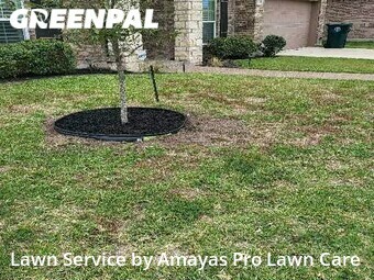 Lawn Cutting nearby Corpus Christi, TX, 