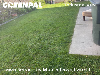 affordable-lawn-services-in-Citrus Heights-CA
