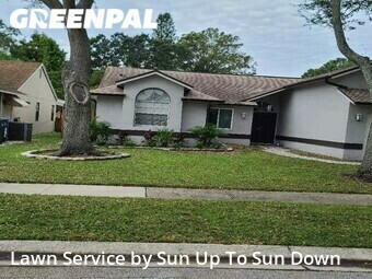 Lawn Mow nearby Clearwater, FL, 