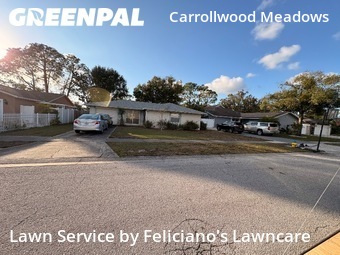 Lawn Mowing Service nearby Tampa, FL, 