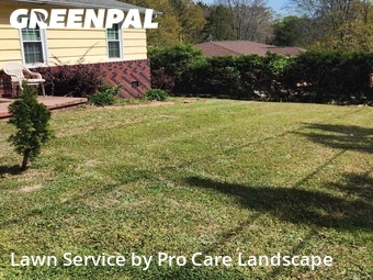 Grass Cut nearby Kannapolis, NC, 