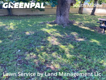 Lawn Mowin Fort Lauderdale,33311,Lawn Cutting by Land Management Llc, work completed in Nov , 2025