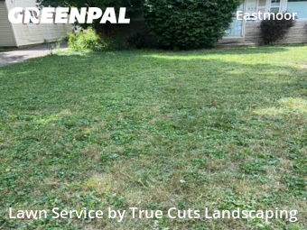 Lawn Mow nearby Columbus, OH, 