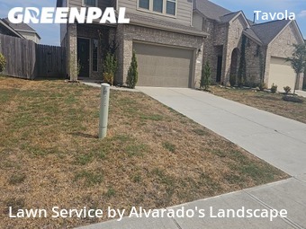 Lawn Cutting nearby New Caney, TX, 