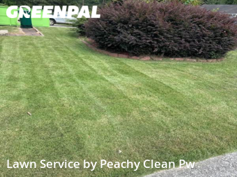 Yard Cutting nearby Carrollton, GA, 