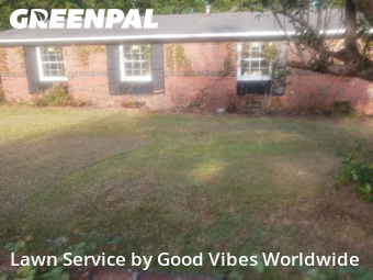 Weed Trimming in Albany, 31701, Yard Maintenance by Good Vibes Worldwide, work completed in Nov , 2025