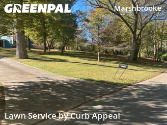 Lawn Mowin Charlotte,28227,Lawn Mow by Curb Appeal, work completed in Nov , 2025