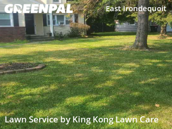 Lawn Cut nearby Rochester, NY, 